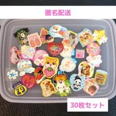 ⑨　当時物　平成レトロ　フレークシール　30枚セット