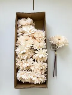 1920sフランス アンティーク ブローチ 布花 コサージュ エクリュ