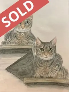 猫の絵　色鉛筆　原画