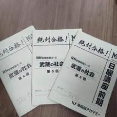 NN武蔵　正月特訓　未使用品 2025年最新】nn 武蔵の人気アイテム - メルカリ