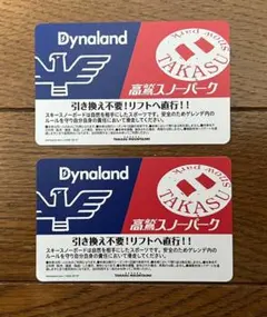 高鷲スノーパーク リフト券 2024-2025　２枚分 高鷲スノーパーク