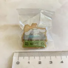 箱根限定 サンリオ シナモロール 箱根温泉 ピンバッジ