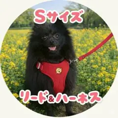 赤　リード＆ハーネス　脱着簡単　散歩　お出かけ　犬猫　鈴　丈夫軽量 調整可能