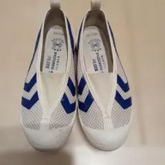 ムーンスター　バイオテフ　 20.0 ホワイト/ブルー　上履き 体育館履き