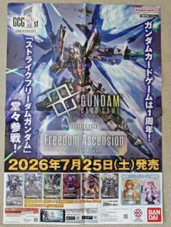 非売品・激レア】機動戦士ガンダムNT ナラティブ 告知ポスター アニメ