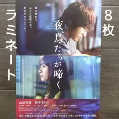 映画　夜、鳥たちが啼く　ラミネート+　チラシ　フライヤー　８枚
