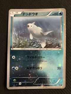 テッポウオ THE BEST OF XY 018/171 ミラー