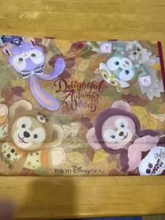 ダッフィーとシェリーメイのビニールバッグ