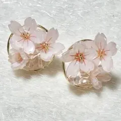 桜のサークルピアス