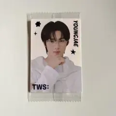 TWS ウエハース　ステッカー ヨンジェ