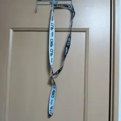 Item thumbnail for item 72749b27-521b-4804-92eb-11f3da8b20c3