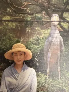 2026年最新】樋口_可南子の人気アイテム - メルカリ