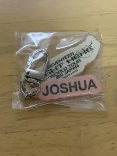 seventeen ジョシュア アイドル