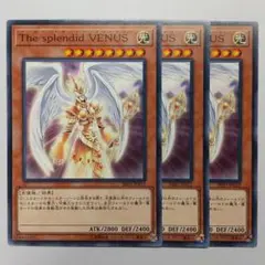 splendid vinus 英語 シークレット 3枚 splendid vinus 英語 シークレット 3枚 splendid vinus 英語