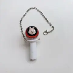 オーダーページ ぬい用ペンライト ⭐︎受注製作⭐︎skzoo オリジナルぬいぐるみ用ペンライト