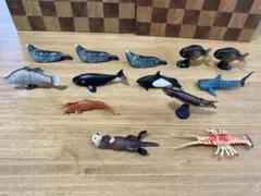 チョコエッグ　海洋動物　フィギュア