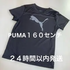 未使用　PUMA 黒 半袖 Tシャツ 160cm