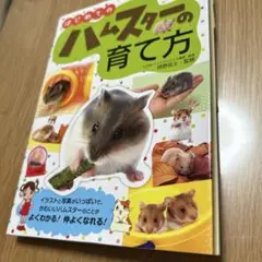 はじめてのハムスターの育て方