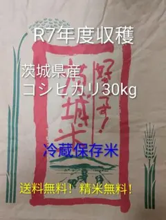 2026年最新】茨城 コシヒカリ 30kgの人気アイテム - メルカリ