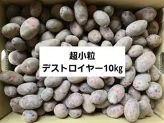 長崎県産デストロイヤ 新じゃが 約10kg箱入り - メルカリ
