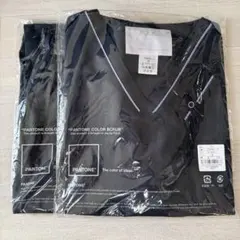 Item thumbnail for item 0cf51382-aa8c-4693-9353-773bbb38230c