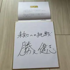 石踏一榮　みやま零　リアス・グレモリー　直筆イラスト色紙　抽プレ 石踏一榮 みやま零 リアス・グレモリー 直筆イラスト色紙 抽プレ