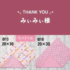 みぃみぃ様 リクエスト 2点 まとめ商品 ランチョンマット ネームタグ追加