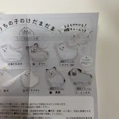 Item thumbnail for item a7606b29-dd45-4170-9b7e-2e414b007c88