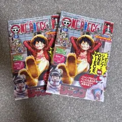 ワンピース　マガジン　20号　プロモカード付き
