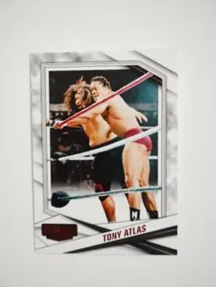 Tony Atlas Combat Anthology No. 14