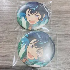 あんスタ コレクション 缶バッジ エス