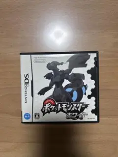 ニンテンドーDS ポケットモンスター ホワイト ③