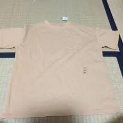 Item thumbnail for item 86fca57a-6f47-4c1a-ae69-09f80c41b5a4