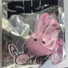 Stray Kids バッグチャーム チャンビン SKZOO ミニバッグチャーム Changbin チャンビン トエッキ