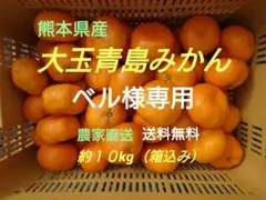 ベル様専用　熊本県産　大玉青島みかん　箱込み約１０kg