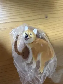 ふんばりーぬ 柴犬