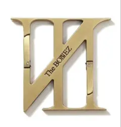 The BONEZ N-Logo Shaped Carabiner jsf