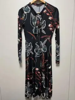 ZARA 花柄 長袖 Aラインワンピース