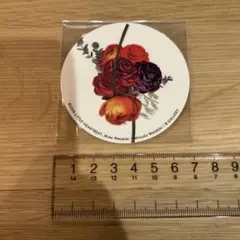 Chara ステッカー BEAMS