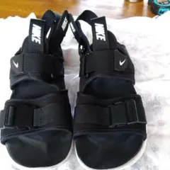 Item thumbnail for item 53c8483a-c58a-43f4-b291-877f0ecea8fc