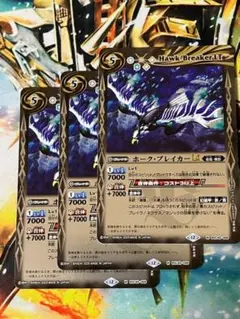 BSC49 ホーク・ブレイカーLT 3枚
