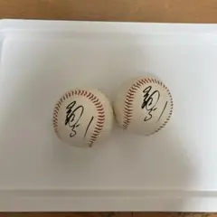 オリックス・ブルーウェーブ イチロー プリント サイン入り野球ボール2個セット