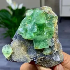 希少なグリーンの大粒クラスター 水晶 263g 77mm 鉱物標本