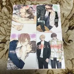 2026年最新】美しい彼 小説セットの人気アイテム - メルカリ