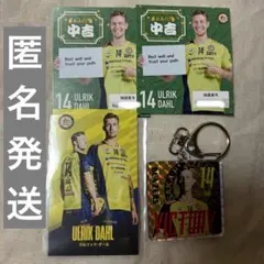 2026年最新】日本製鉄堺ブレイザーズの人気アイテム - メルカリ