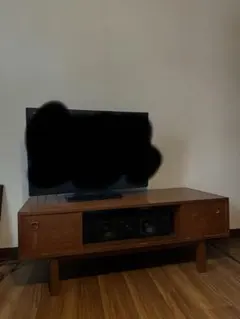 カリモク家具 テレビ台 ローボード 木製のサムネイル