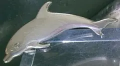 Item thumbnail for item 469f1f95-2aae-4f59-9fb7-3eb5ad5a3dfe