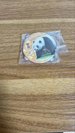 アドベンチャーワールド パンダ 彩浜 缶バッジ