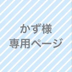 専用ページ