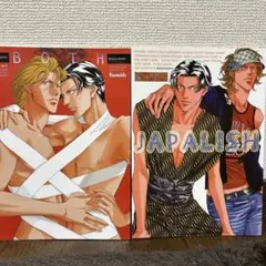 新田祐克 BALALAIKA 8＆9 同人誌　2冊セット